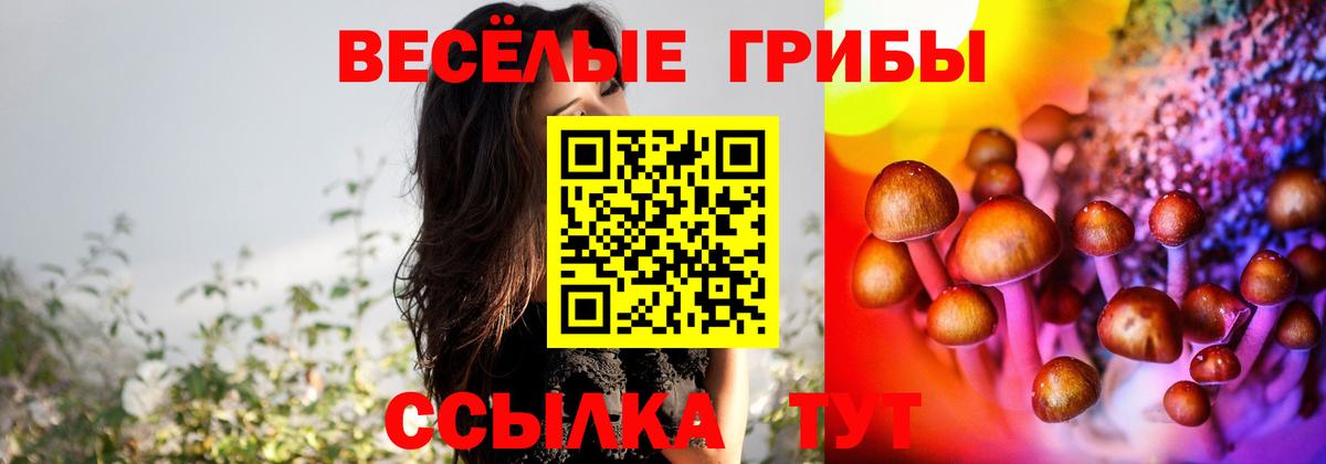 Псилоцибиновые грибы мицелий Вязники