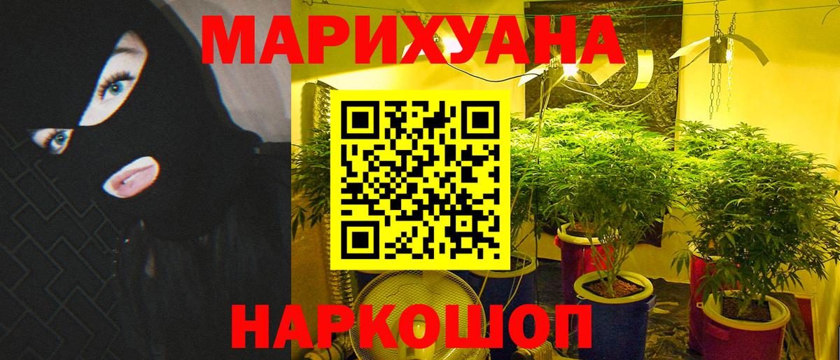 Конопля индика  Бошки марихуана OG Kush  Вход с VPN  Бошки марихуана семена  Вязники 